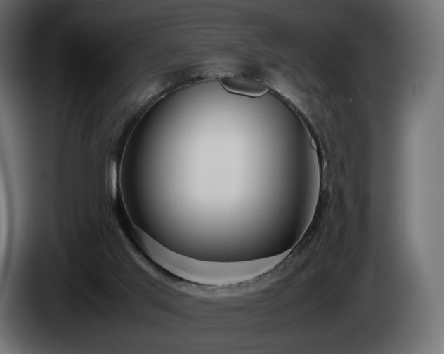 X0000085050013200703051427