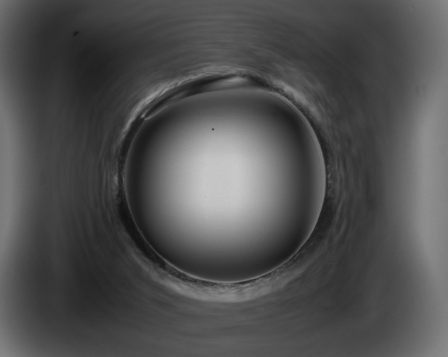 X0000085050015200703051427