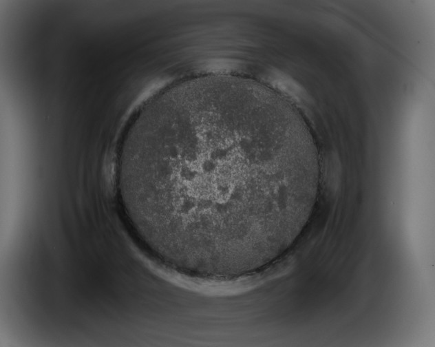 X0000085050016200703051427