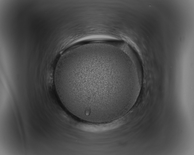 X0000085050017200703051427