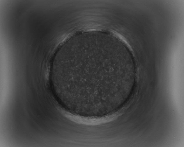 X0000085050018200703051427