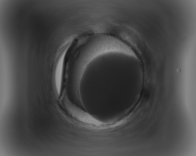 X0000085050019200703051427
