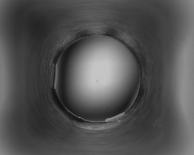 X0000085050021200703051427