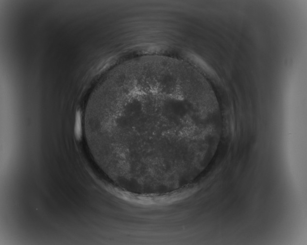 X0000085050022200703051427
