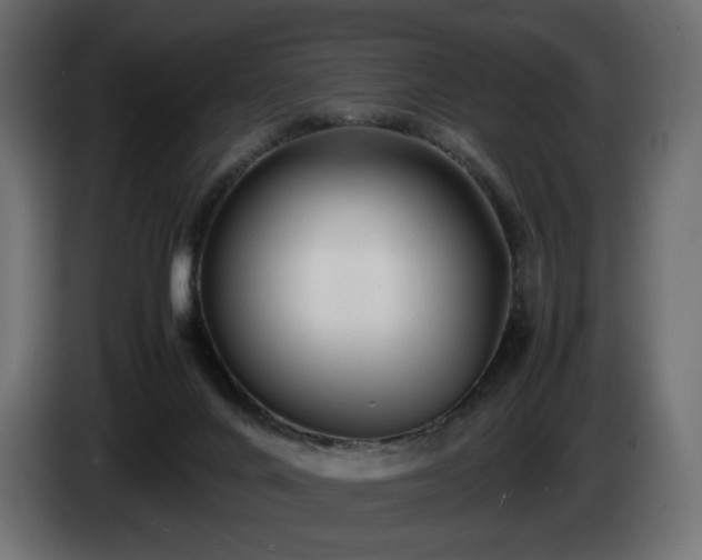 X0000085050024200703051427