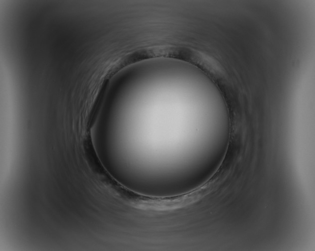 X0000085050025200703051427