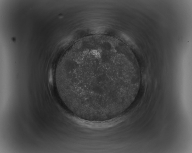 X0000085050026200703051427