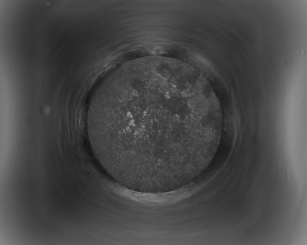 X0000085050030200703051427