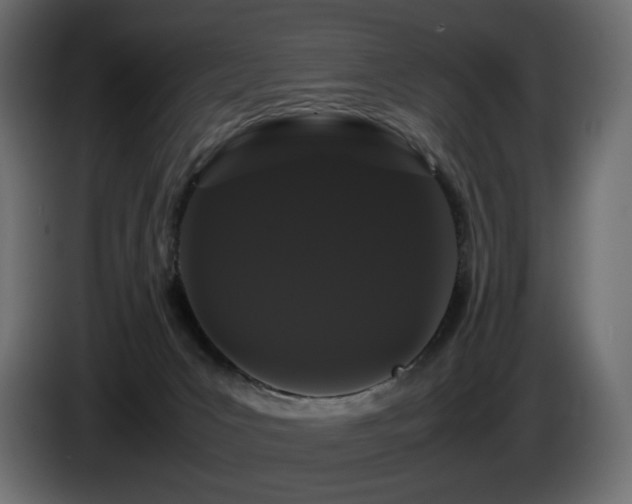 X0000085050031200703051427