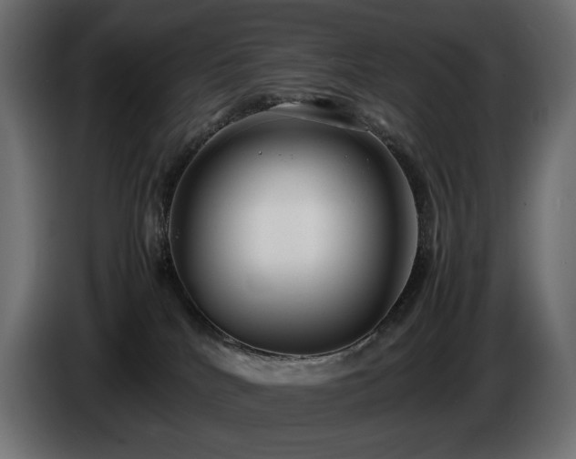 X0000085050040200703051427