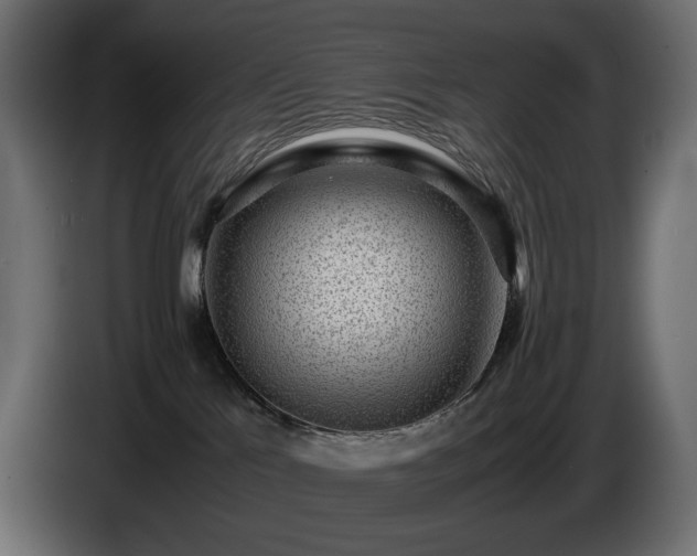 X0000085050041200703051427