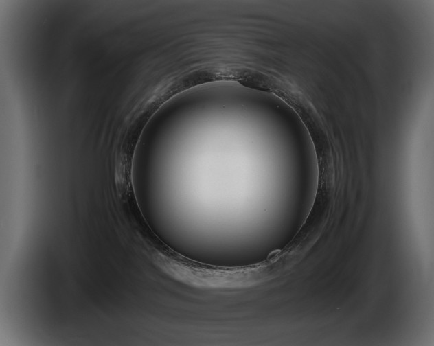 X0000085050044200703051427