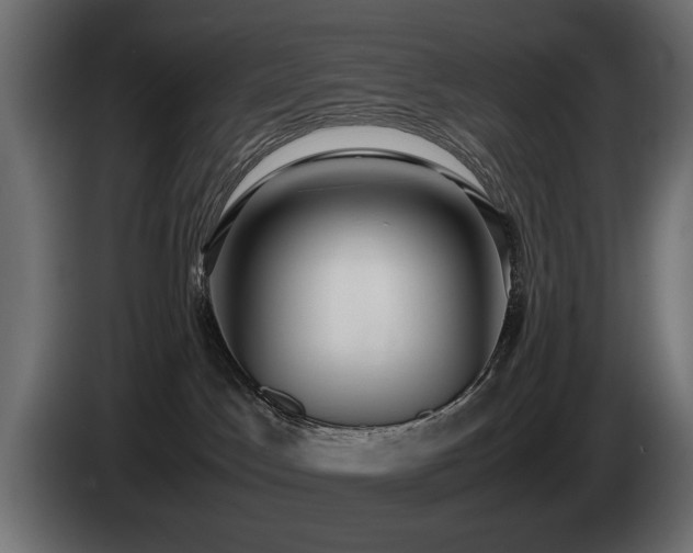 X0000085050045200703051427