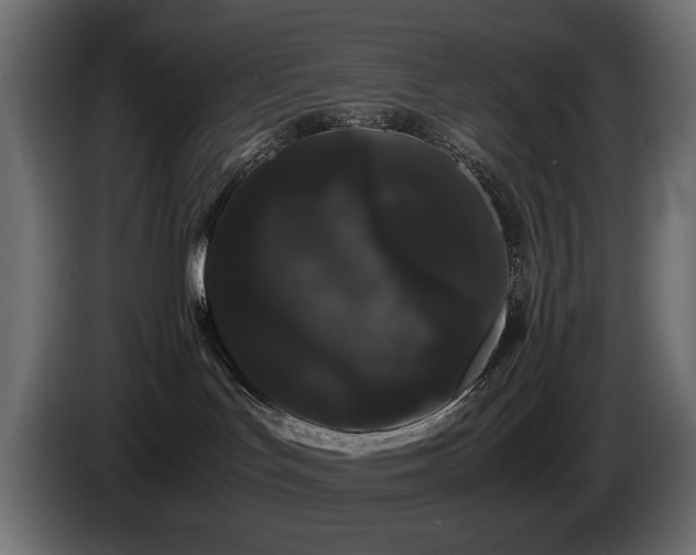 X0000085050047200703051427