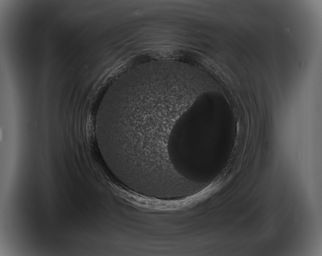 X0000085050048200703051427