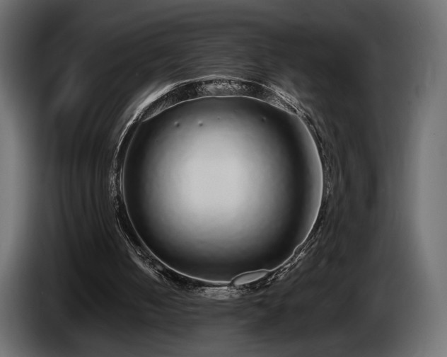 X0000085050050200703051426