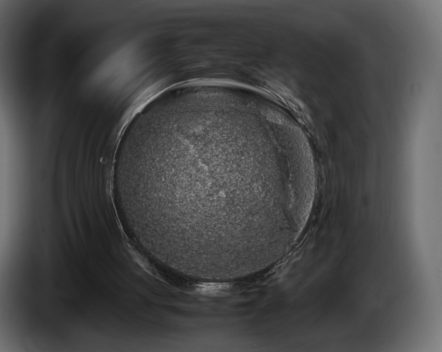 X0000085050051200703051426