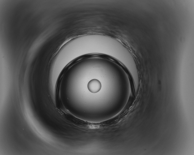 X0000085050052200703051426