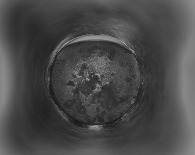 X0000085050053200703051426