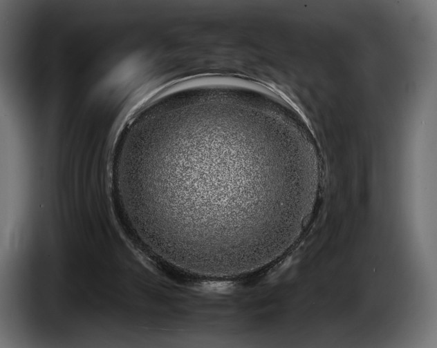 X0000085050055200703051426