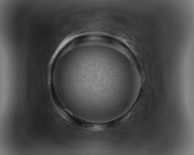 X0000085050056200703051426