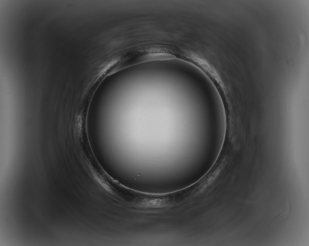 X0000085050057200703051426