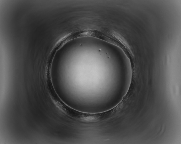 X0000085050058200703051426