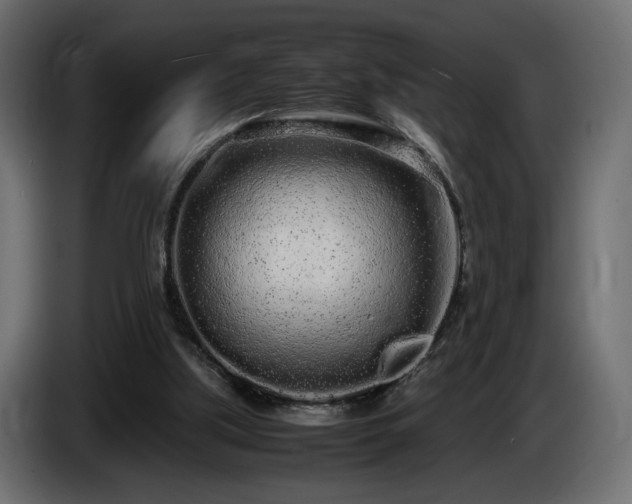 X0000085050059200703051426