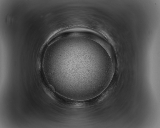 X0000085050060200703051426