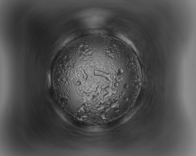 X0000085050061200703051426