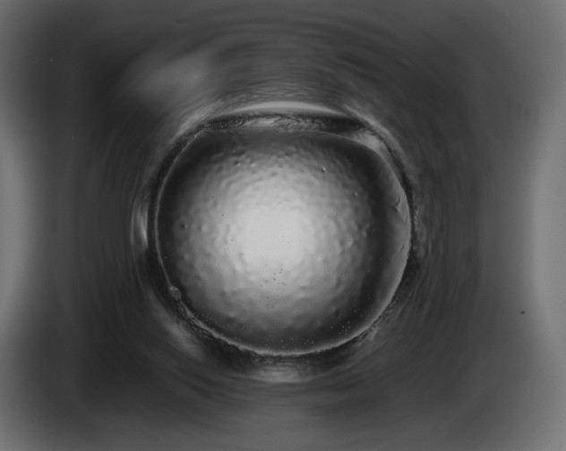 X0000085050062200703051426