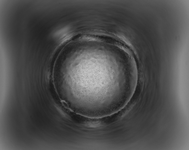 X0000085050063200703051426