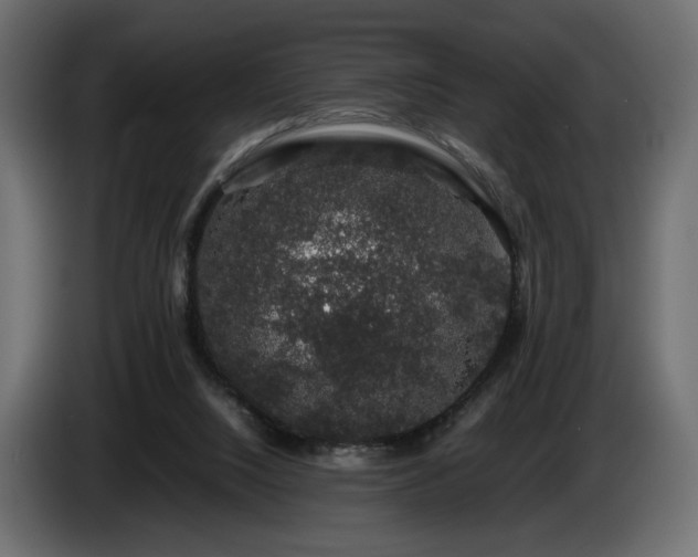 X0000085050064200703051426