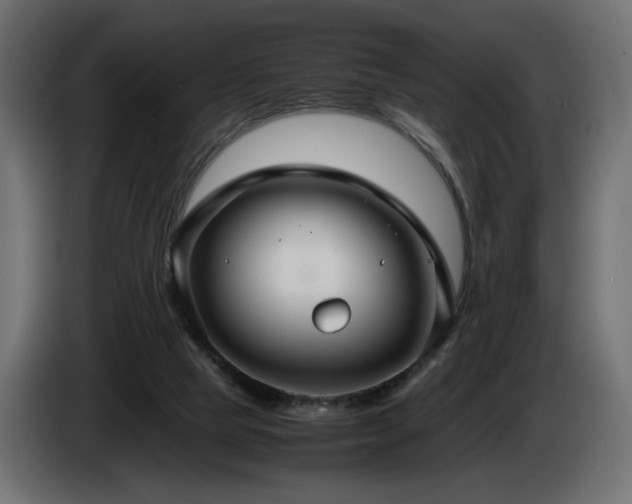 X0000085050065200703051426