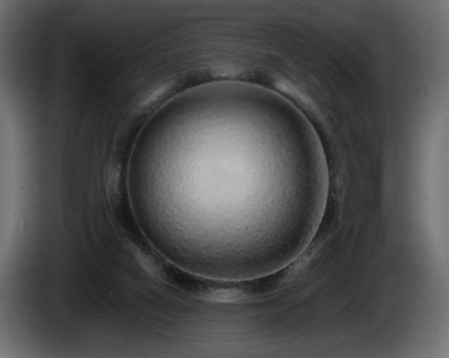 X0000085050066200703051426