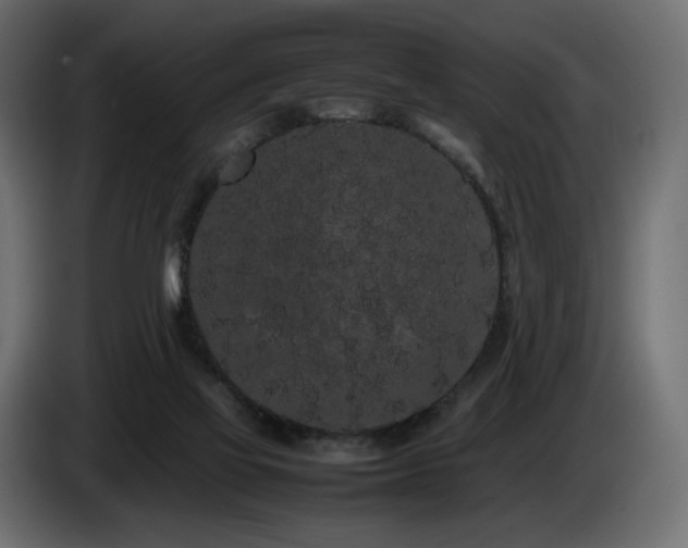X0000085050069200703051426