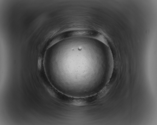 X0000085050070200703051426