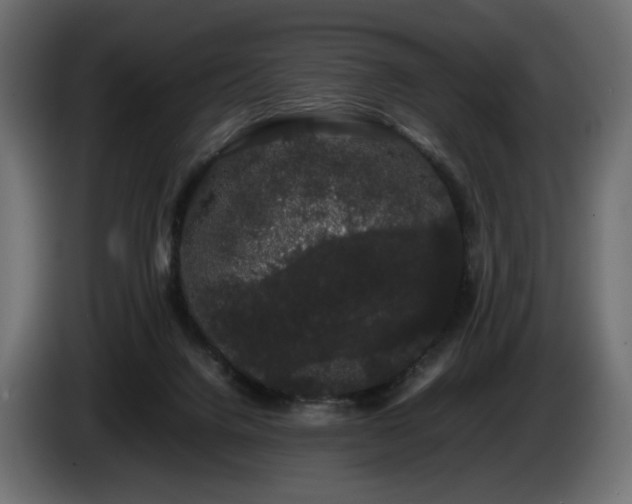 X0000085050072200703051426