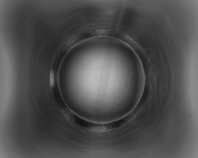 X0000085050075200703051426