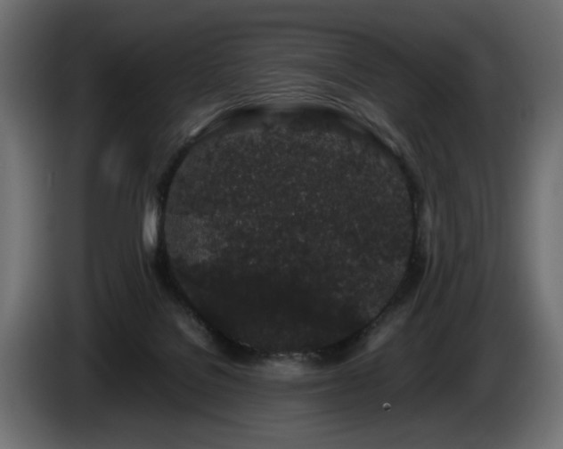 X0000085050076200703051426