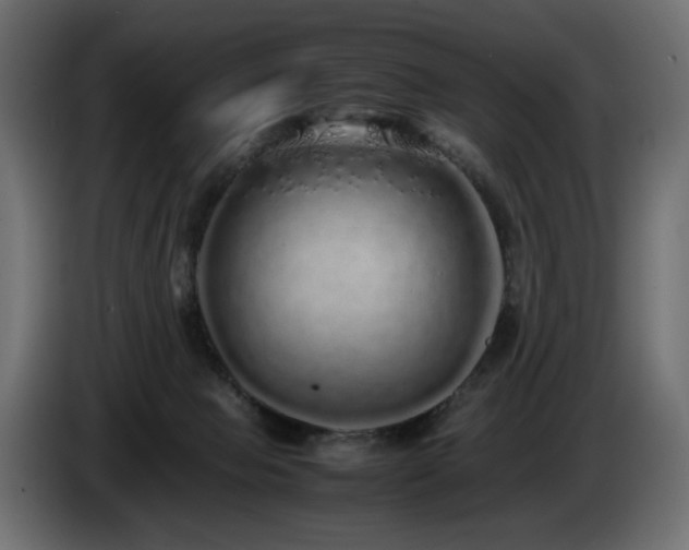 X0000085050077200703051426
