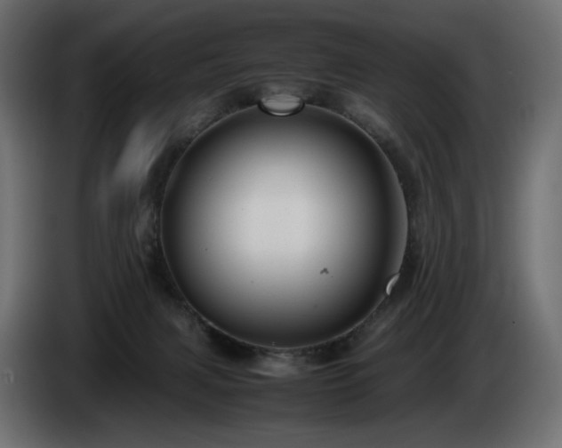 X0000085050079200703051426
