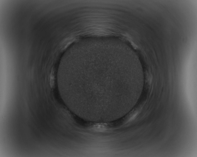 X0000085050080200703051426