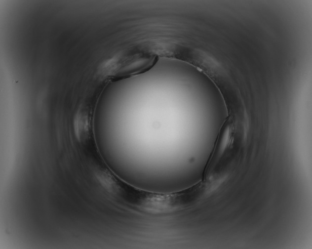 X0000085050084200703051426