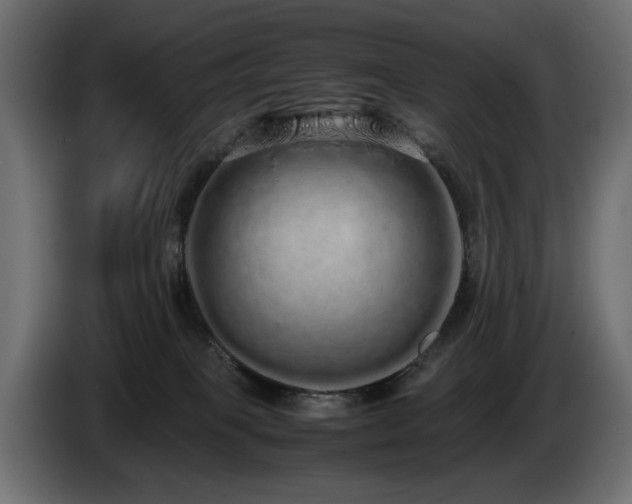 X0000085050085200703051426