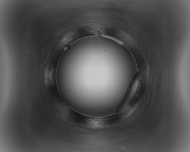 X0000085050088200703051426