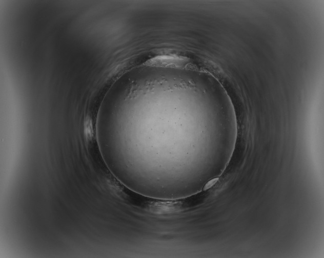 X0000085050089200703051426