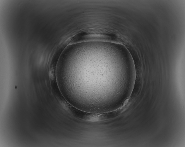 X0000085050090200703051426
