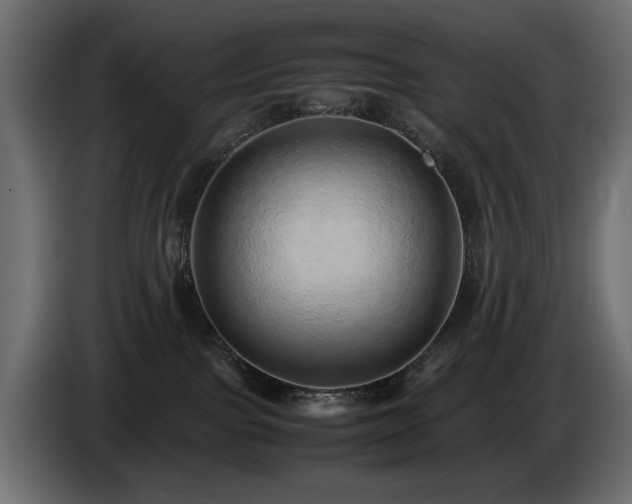 X0000085050091200703051426