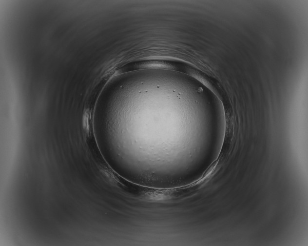 X0000085050094200703051426